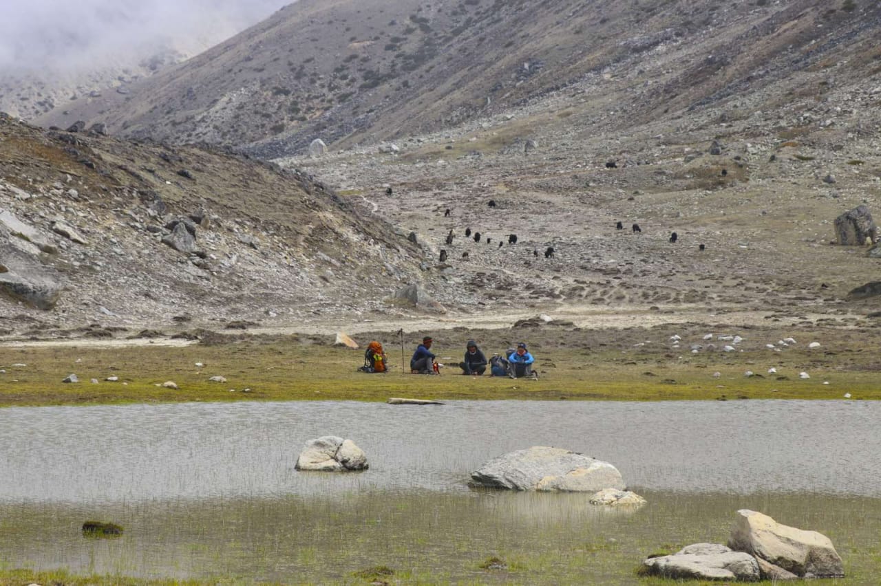 Sumna Yak grazing spot